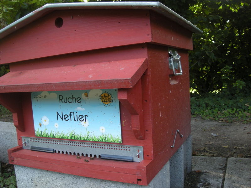 La ruche Neflier
