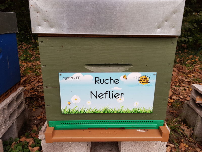 La ruche Neflier