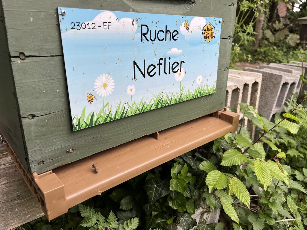 La ruche Neflier