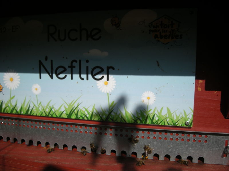 La ruche Neflier