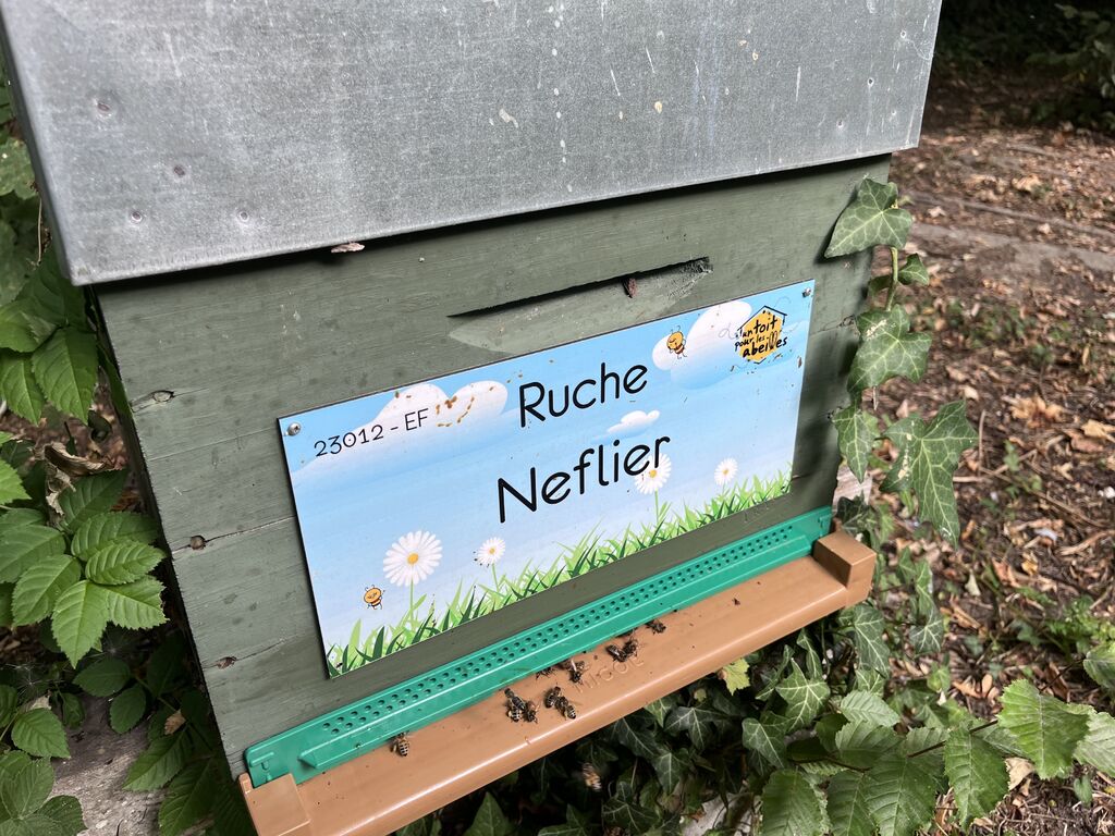 La ruche Neflier