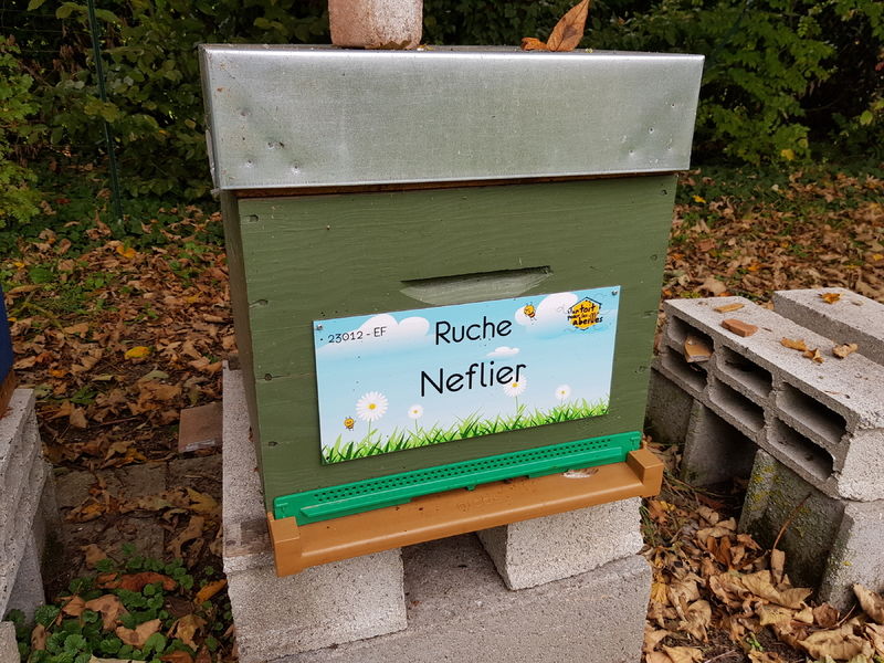 La ruche Neflier