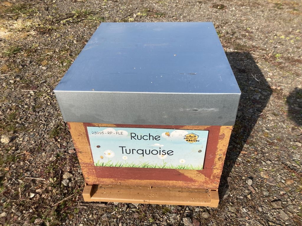La ruche Turquoise