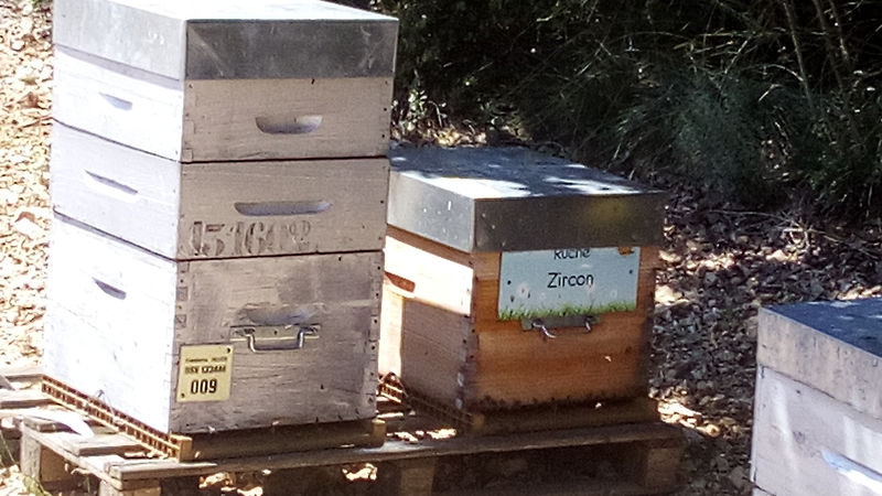 La ruche Zircon