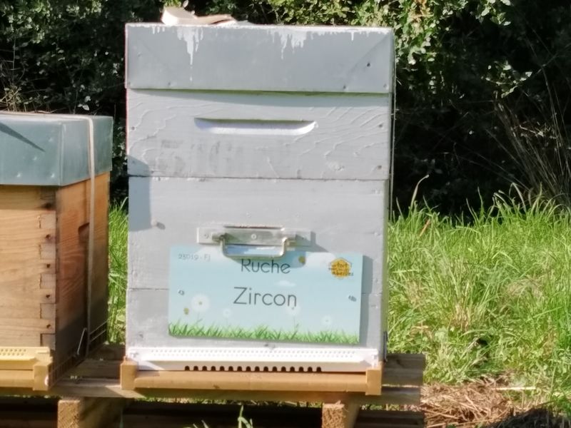 La ruche Zircon
