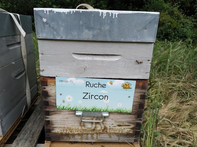La ruche Zircon