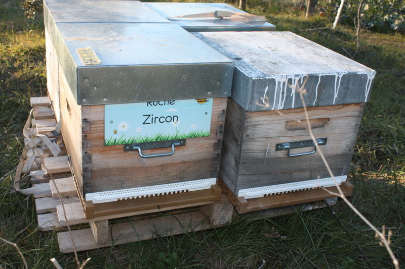 La ruche Zircon