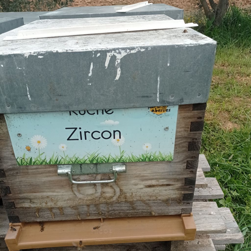 La ruche Zircon