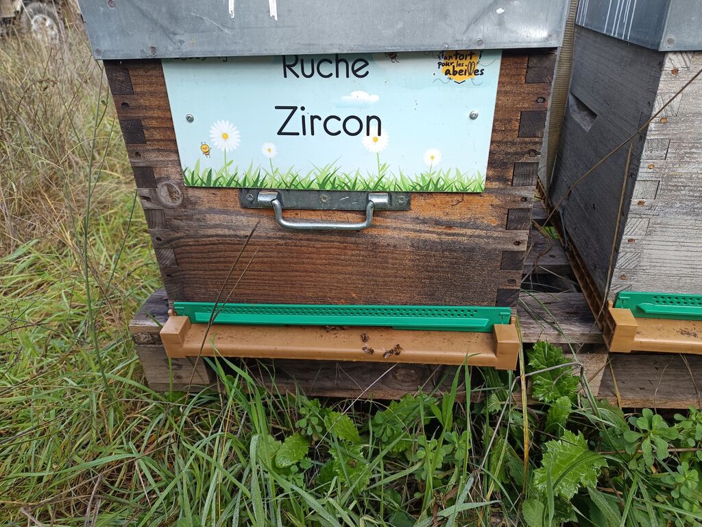 La ruche Zircon