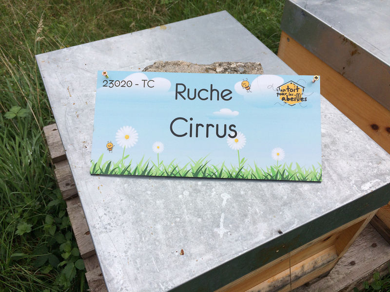 La ruche