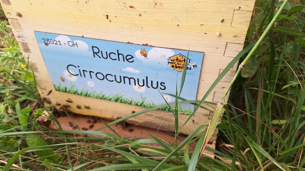 La ruche Cirrocumulus 