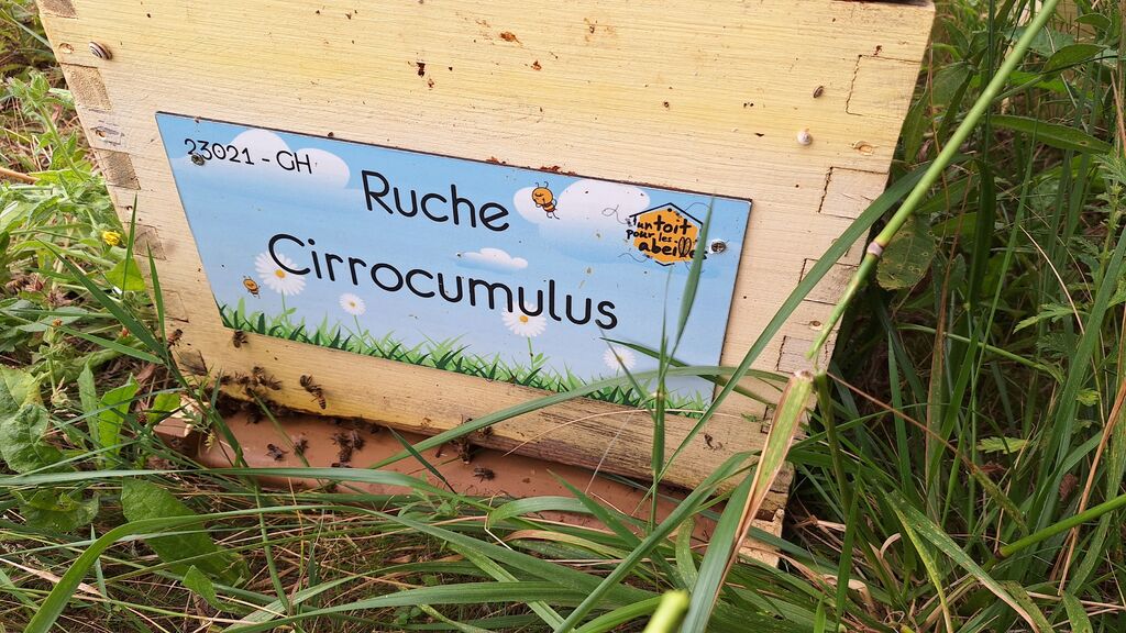 La ruche Cirrocumulus 