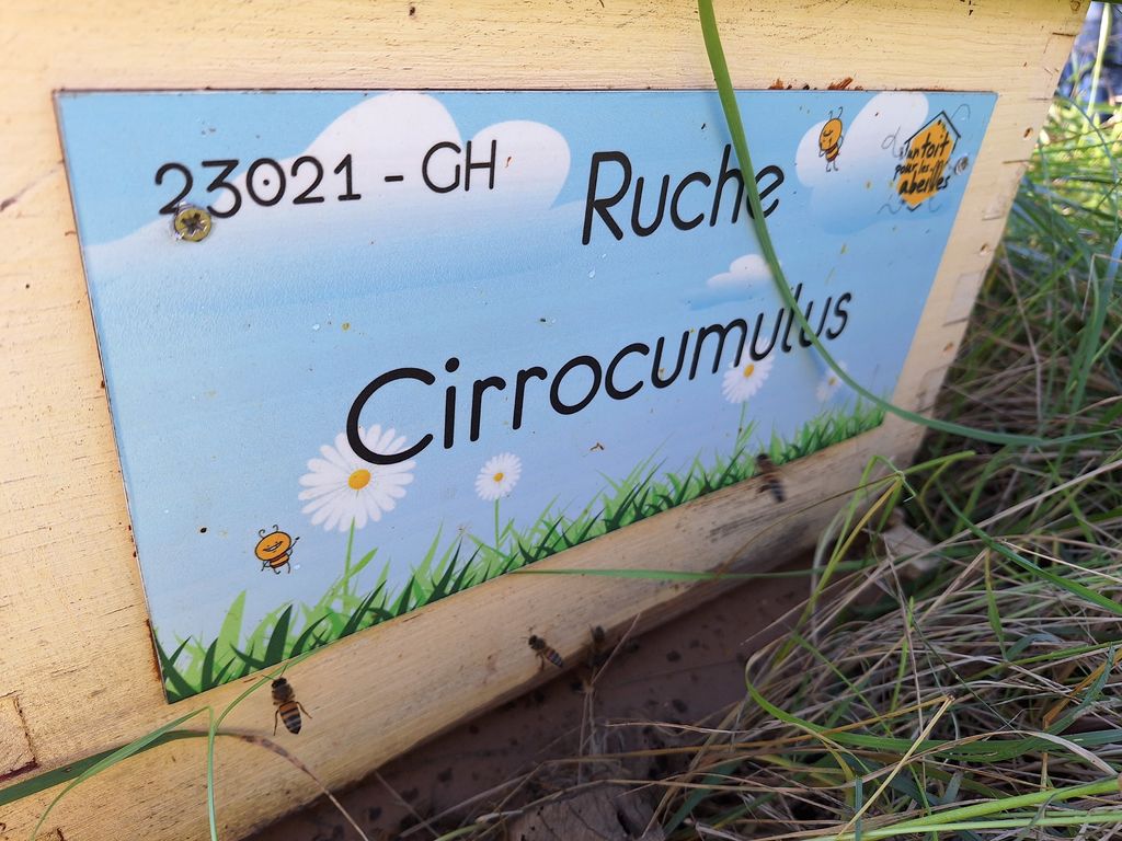 La ruche Cirrocumulus 