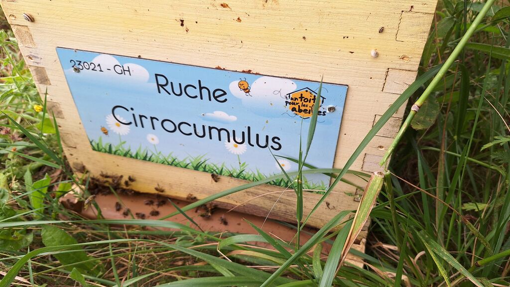 La ruche Cirrocumulus 
