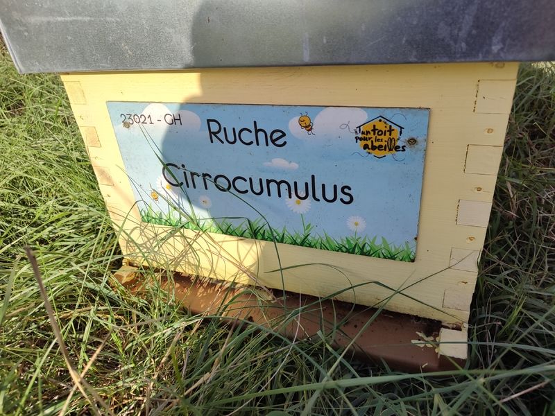 La ruche Cirrocumulus 