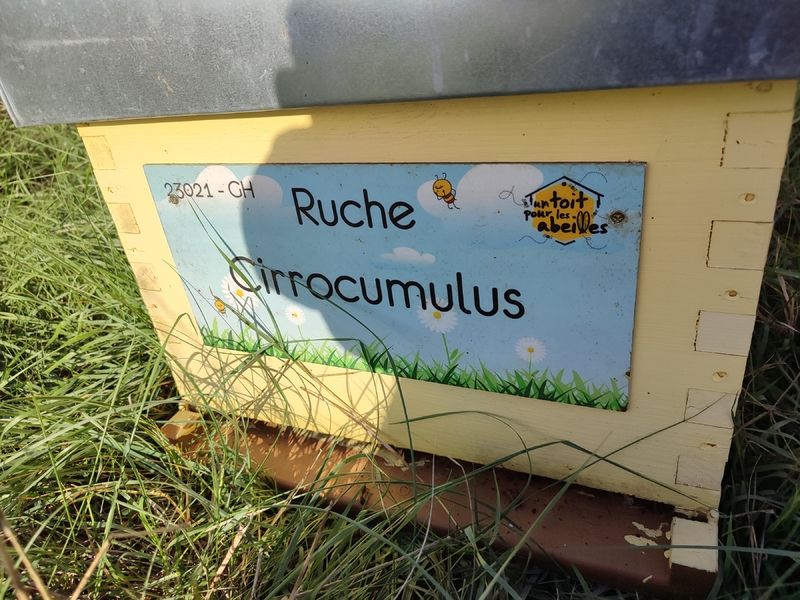 La ruche Cirrocumulus 