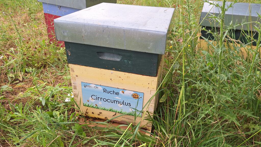 La ruche Cirrocumulus 