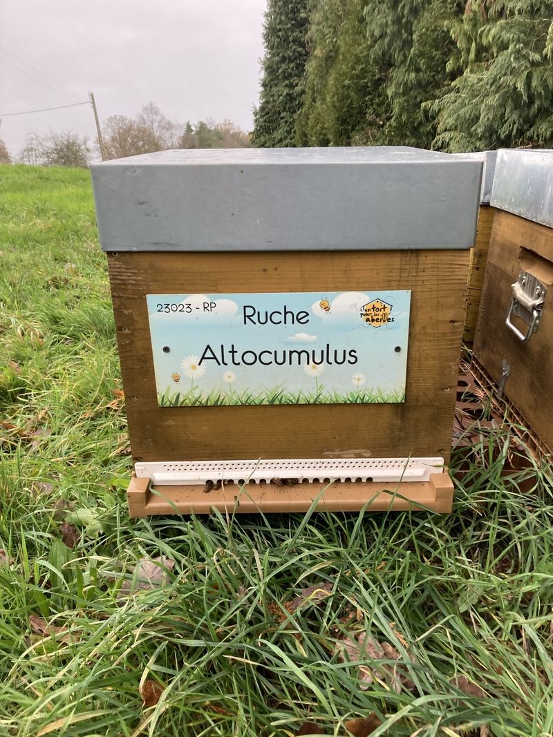 La ruche Altocumulus