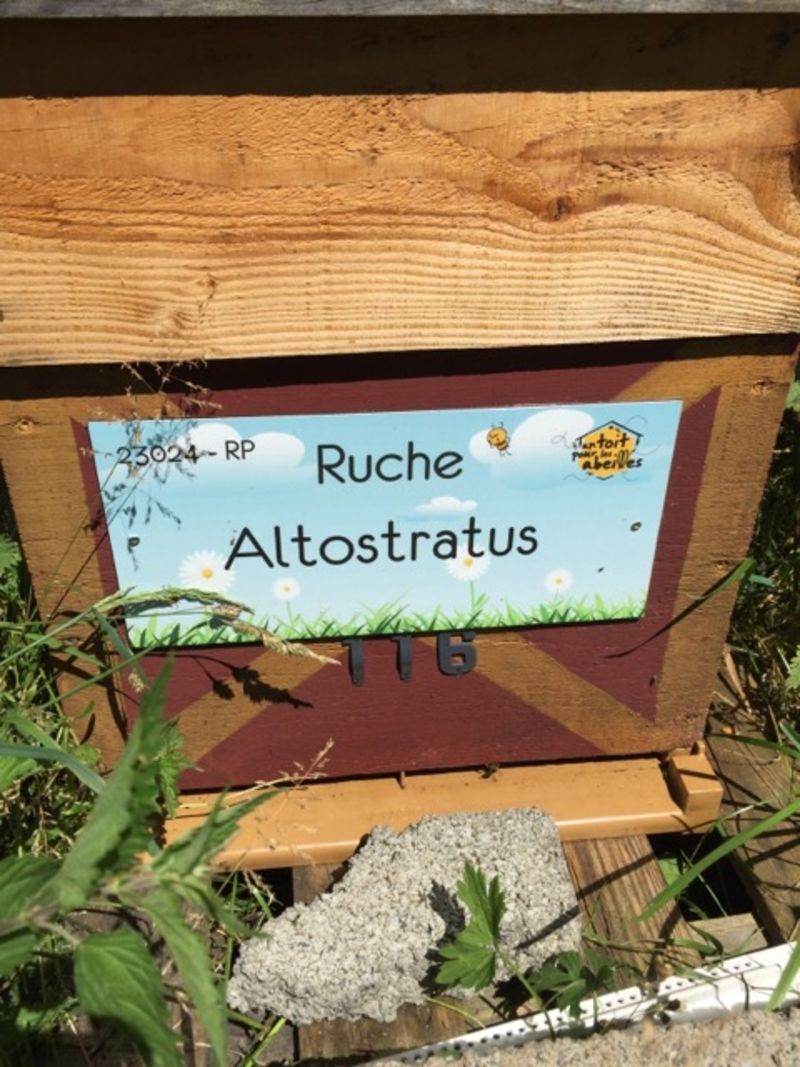 La ruche Altostratus 