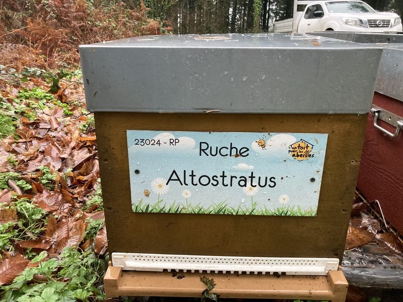 La ruche Altostratus 