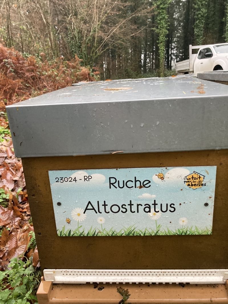 La ruche Altostratus 