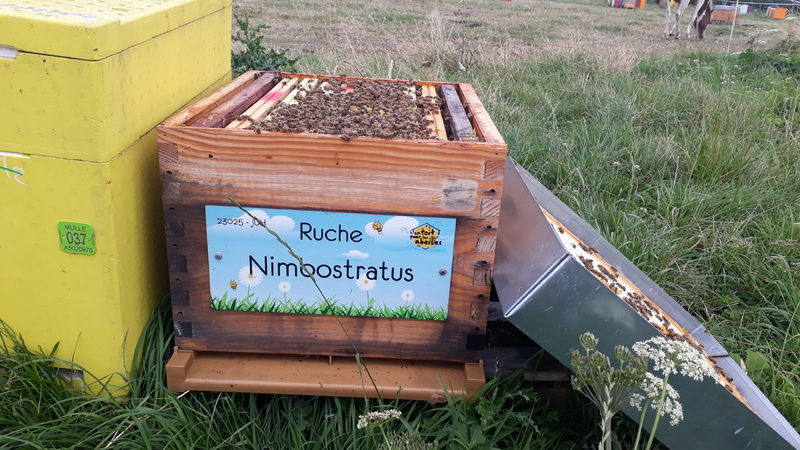 La ruche Nimbostratus