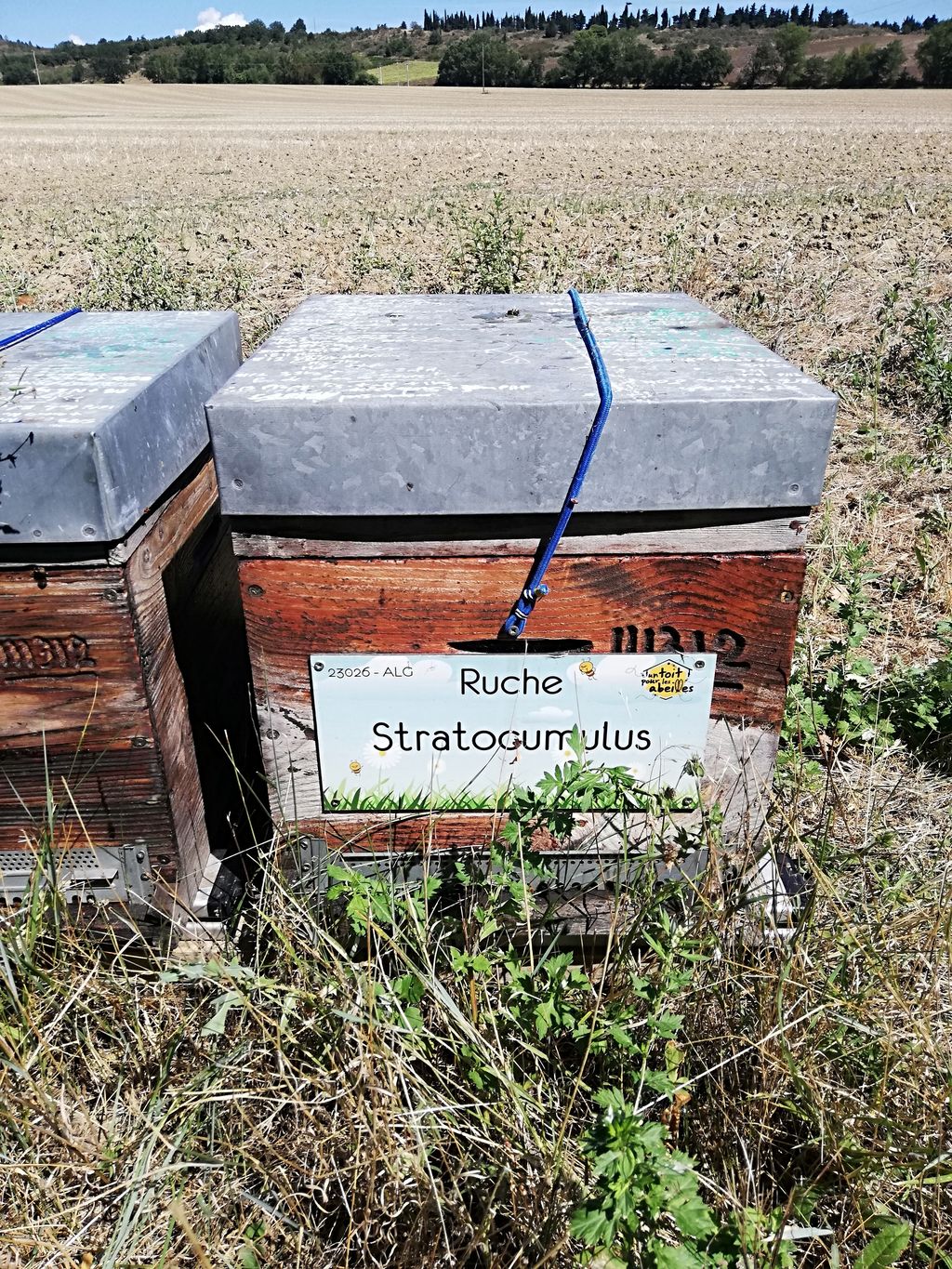 La ruche Stratocumulus