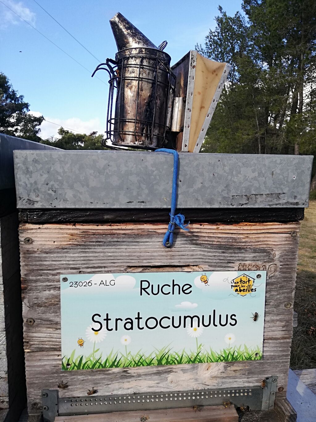 La ruche Stratocumulus