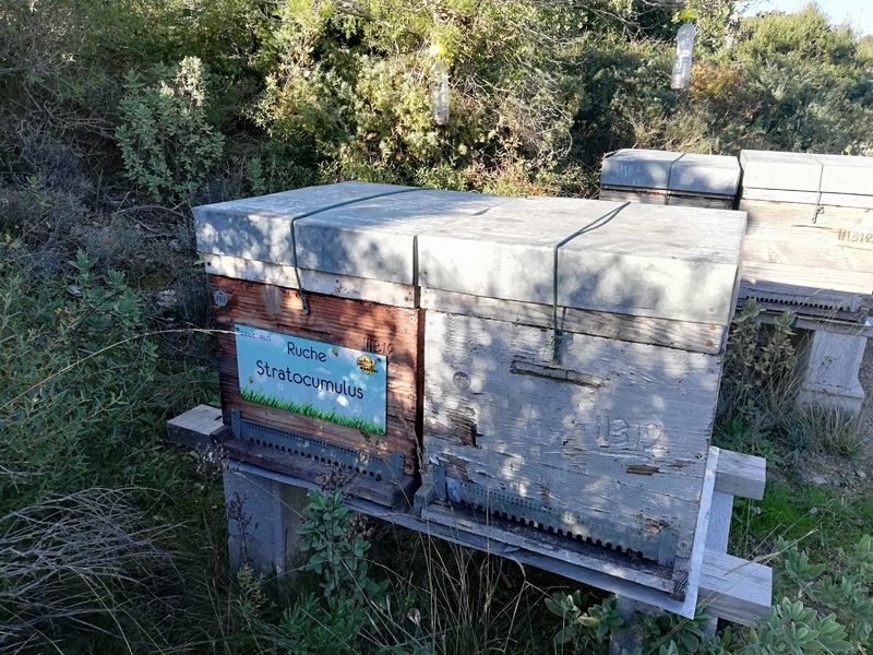 La ruche Stratocumulus