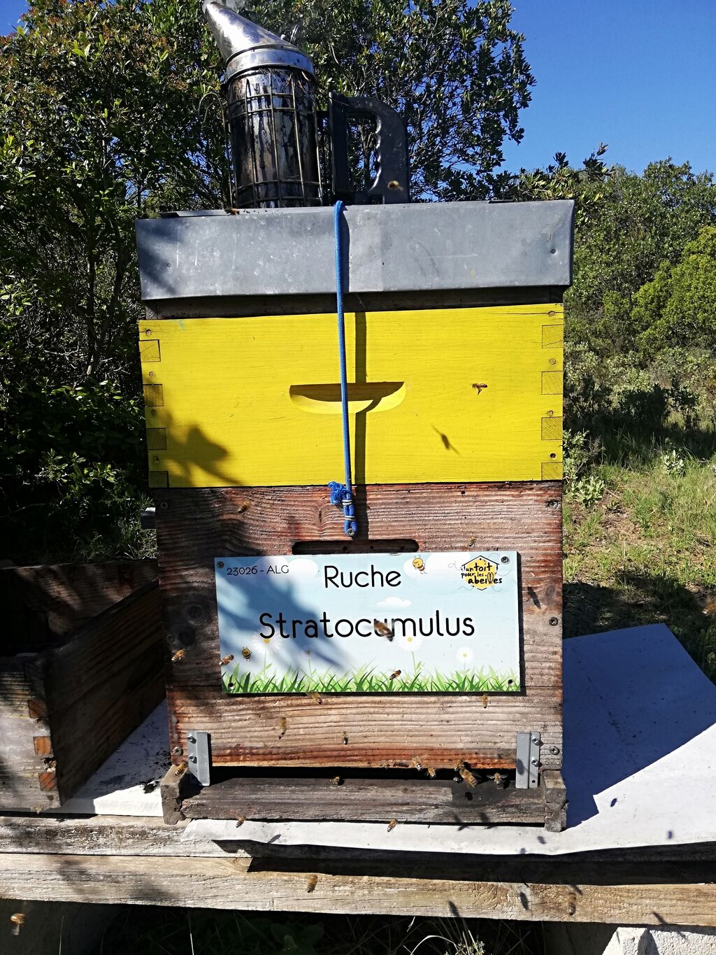 La ruche Stratocumulus