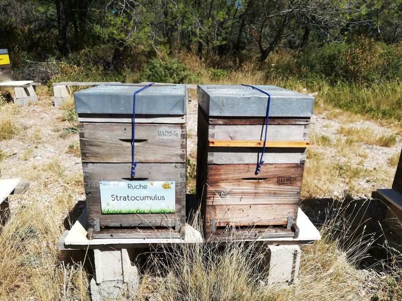 La ruche Stratocumulus