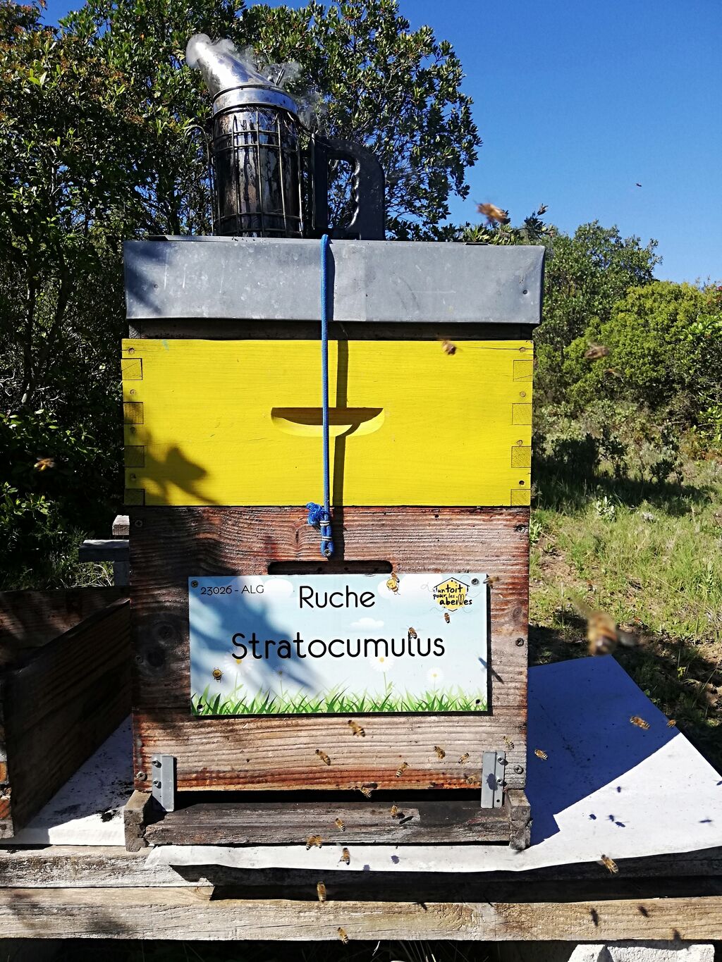 La ruche Stratocumulus