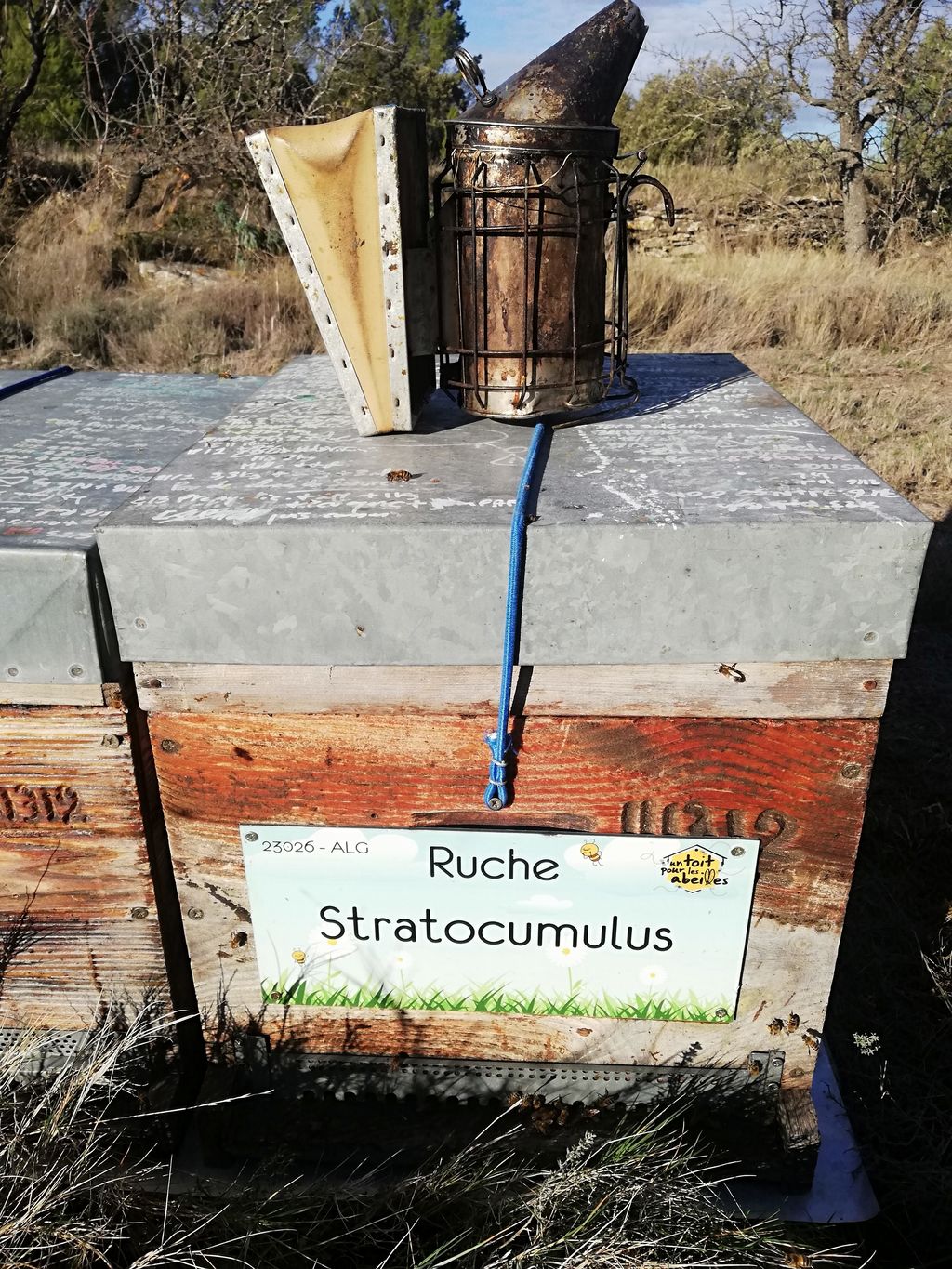 La ruche Stratocumulus