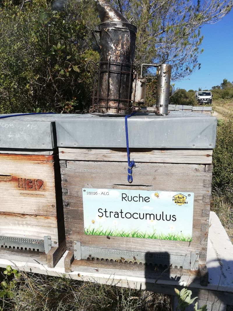 La ruche Stratocumulus