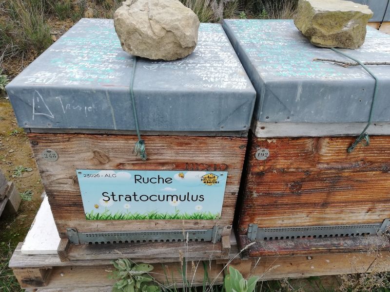 La ruche Stratocumulus