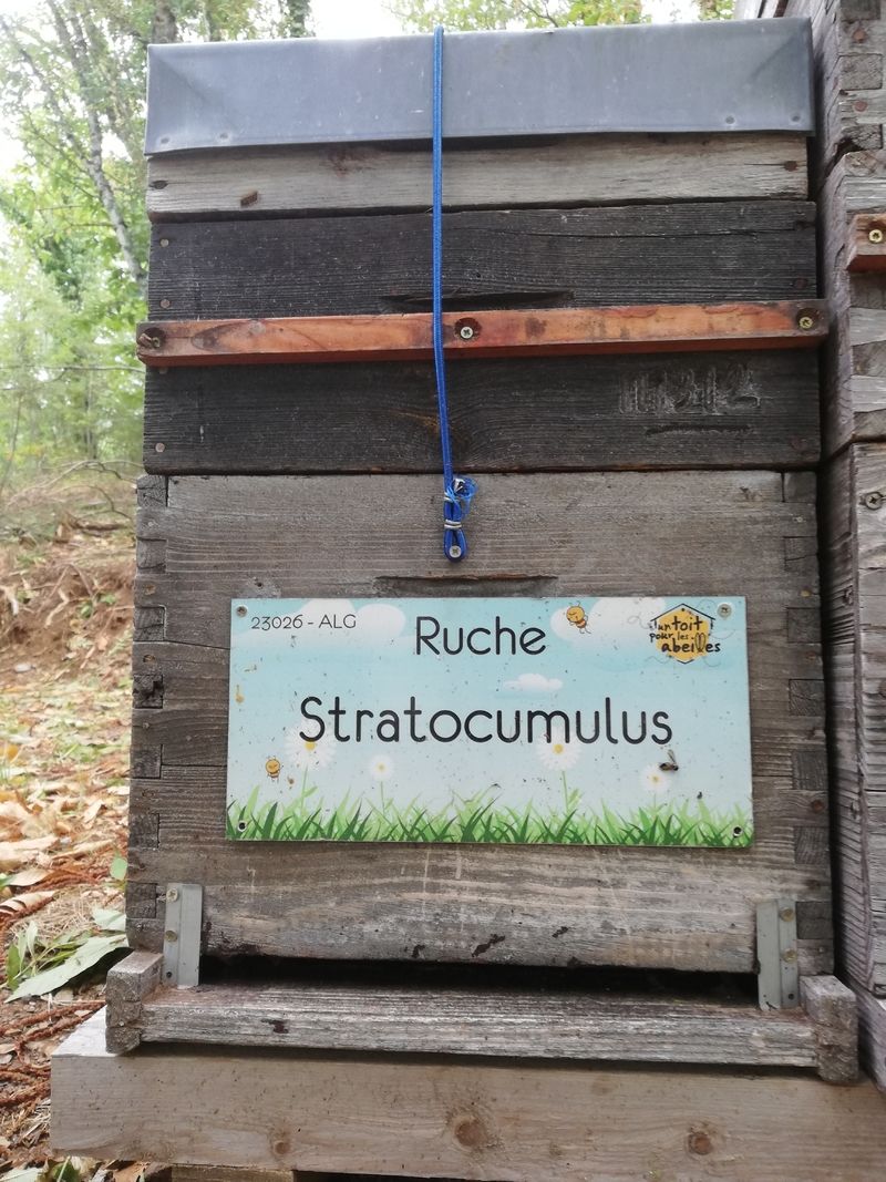 La ruche Stratocumulus