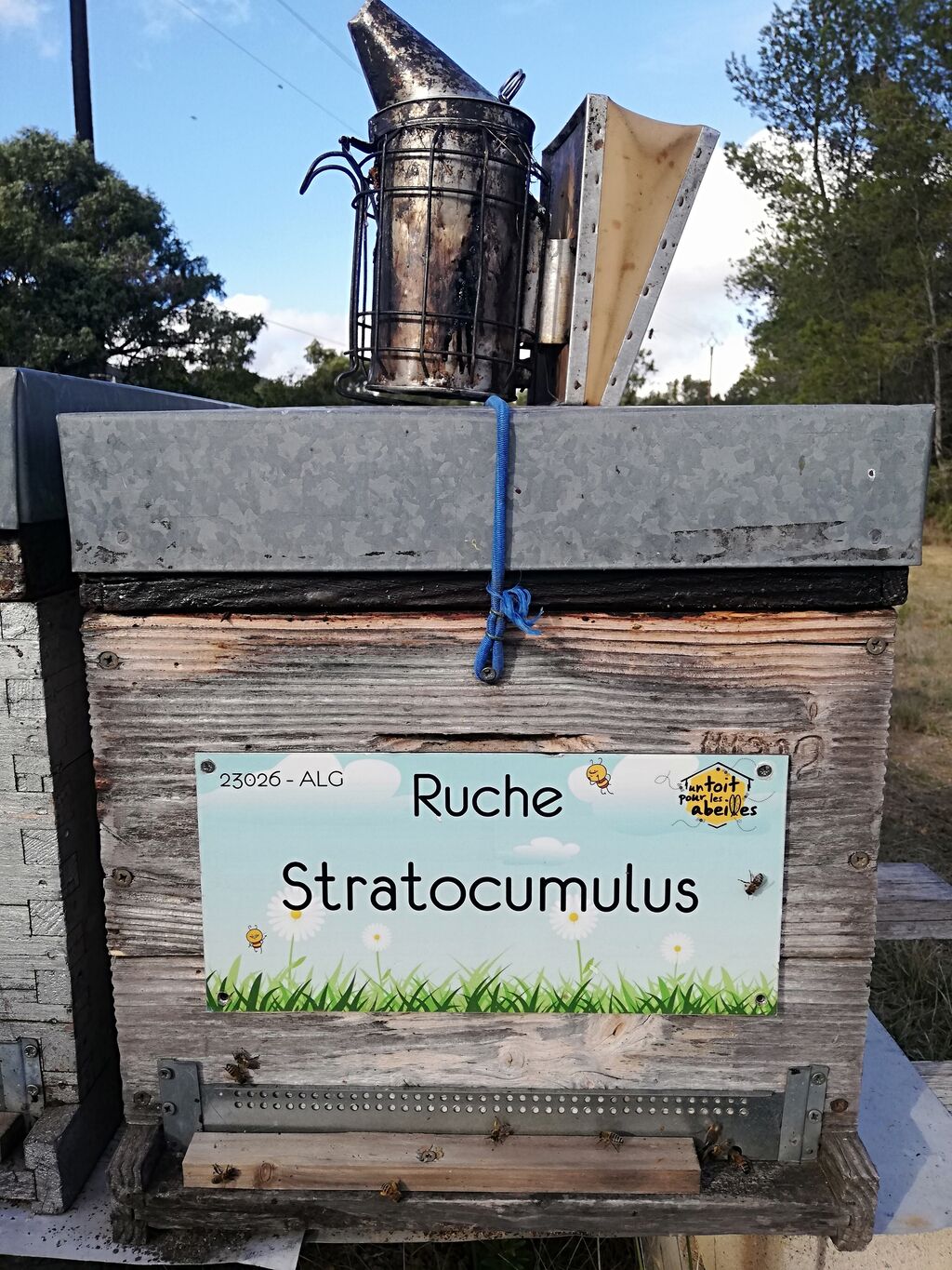 La ruche Stratocumulus