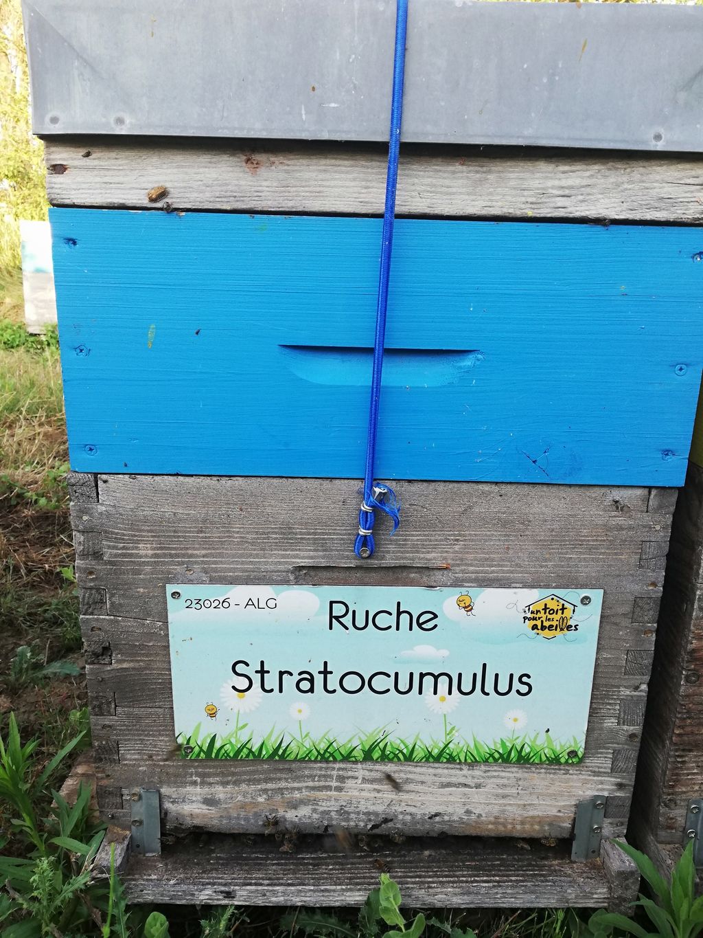 La ruche Stratocumulus