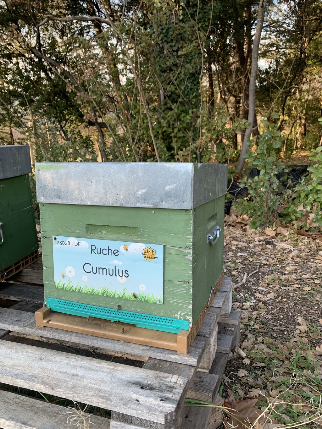 La ruche Cumulus