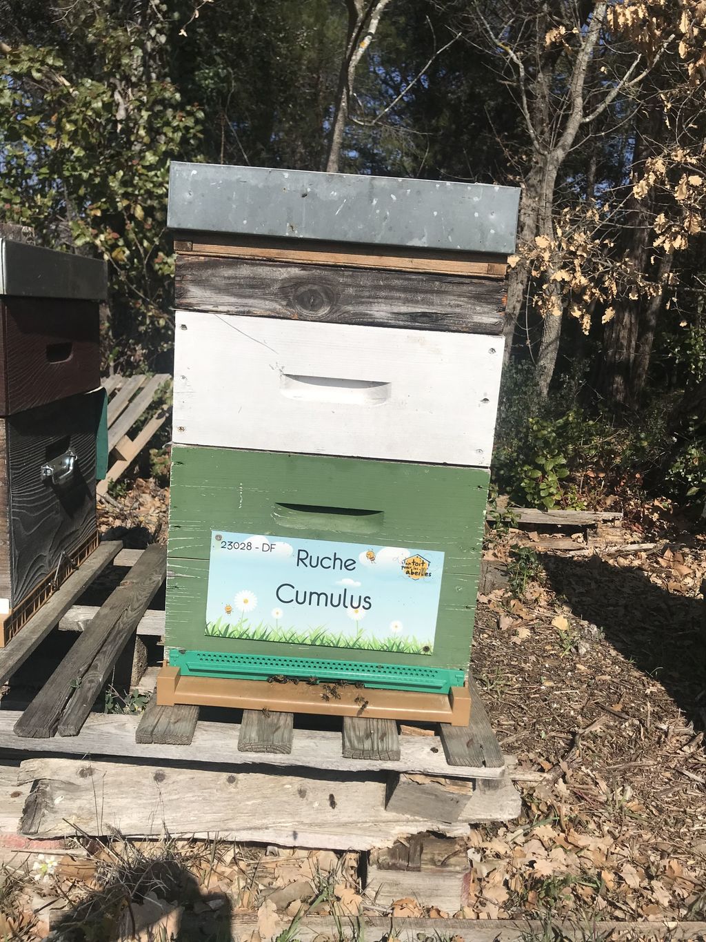 La ruche Cumulus