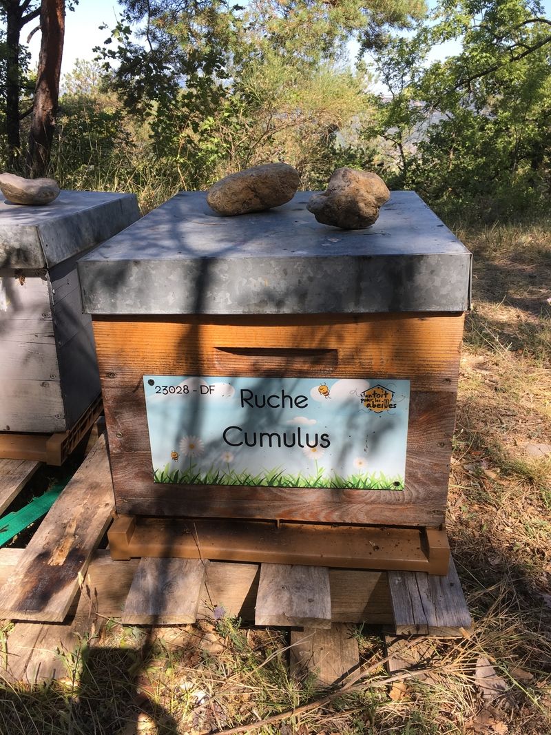 La ruche Cumulus