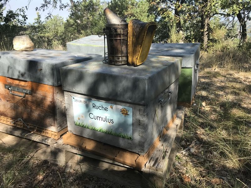 La ruche Cumulus