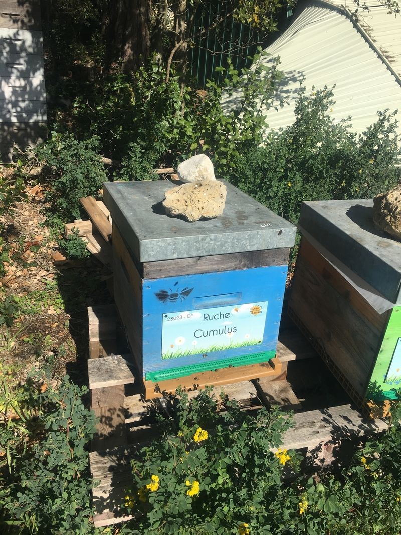 La ruche Cumulus