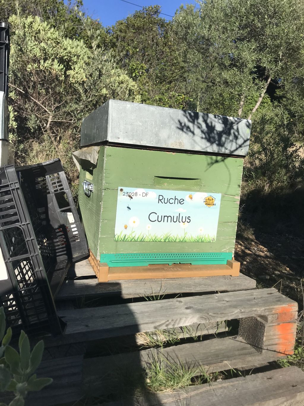 La ruche Cumulus