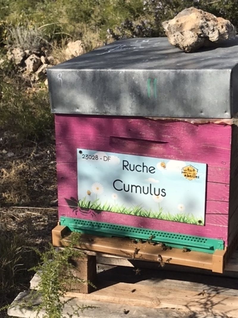 La ruche Cumulus
