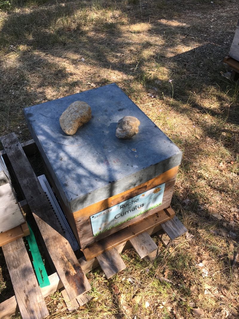 La ruche Cumulus