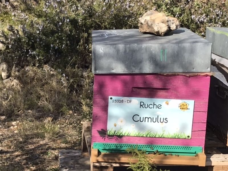 La ruche Cumulus