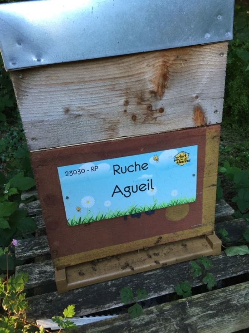 La ruche Agueil