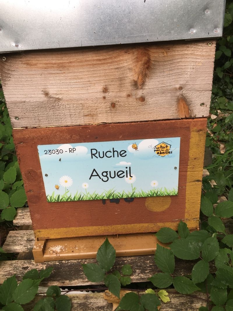 La ruche Agueil