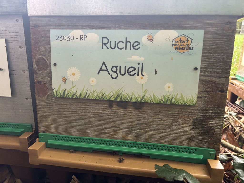 La ruche Agueil